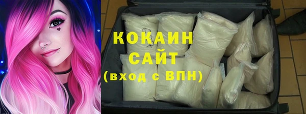 ГАЛЛЮЦИНОГЕННЫЕ ГРИБЫ Инта