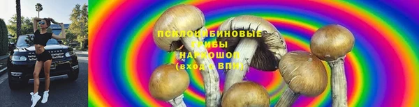 apvp Иннополис
