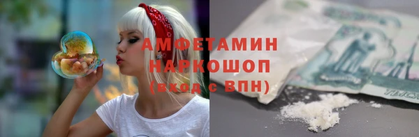apvp Иннополис