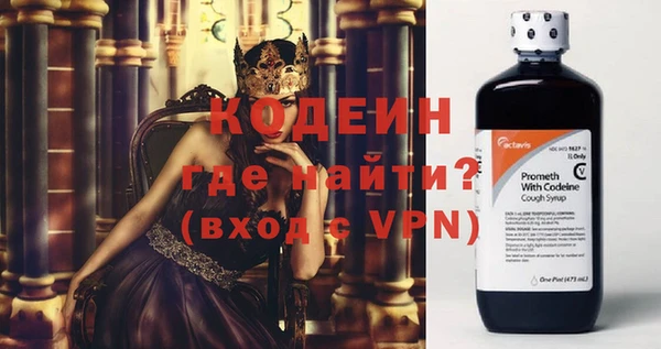 ГАЛЛЮЦИНОГЕННЫЕ ГРИБЫ Инта