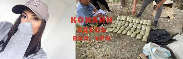 ГАЛЛЮЦИНОГЕННЫЕ ГРИБЫ Инта