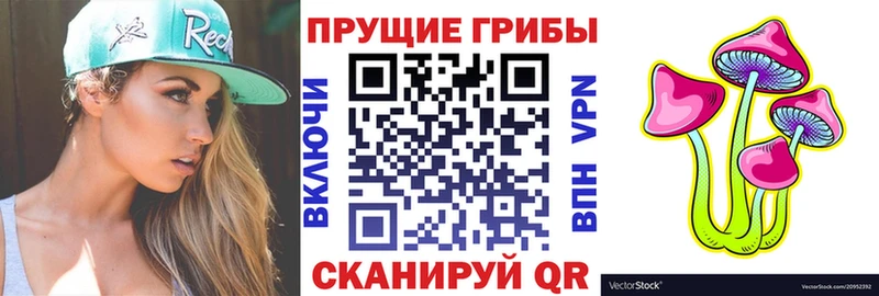 Псилоцибиновые грибы GOLDEN TEACHER  Артём 